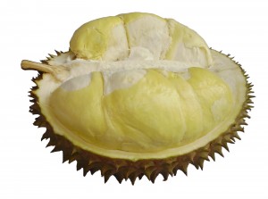 Cara Memilih Durian Montong dan Biasa