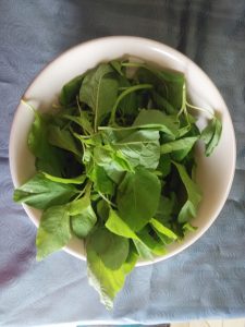 IMG_20150419_093432