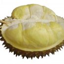 Cara Memilih Durian Montong/Biasa yang Enak & Manis